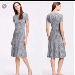 Ann Taylor Knit Midi Dress